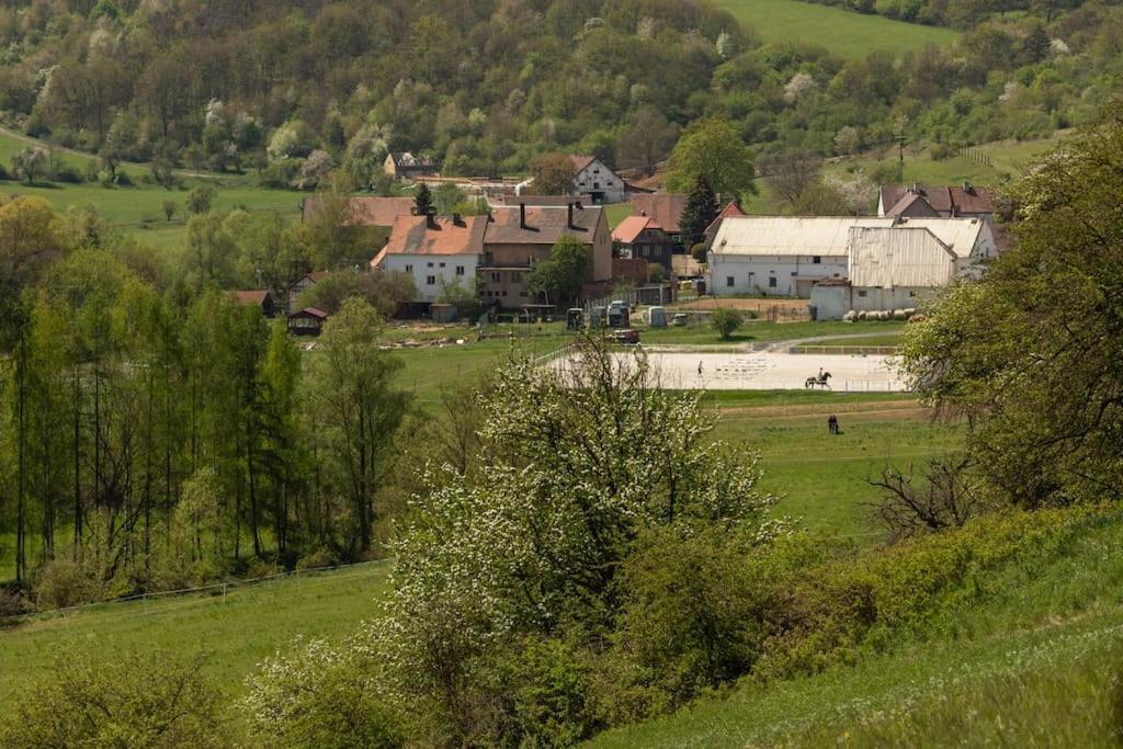 Ubytovani V Apartmanu, 2 Loznice, Na Farme Bzany Bagian luar foto